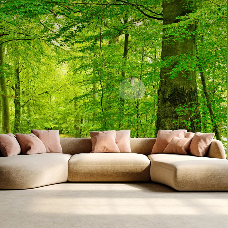 Fototapete ruhiger grüner waldpfad – Wallnifity®