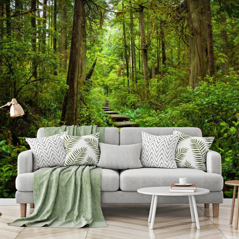 Fototapete ruhiger waldsteg – Wallnifity®