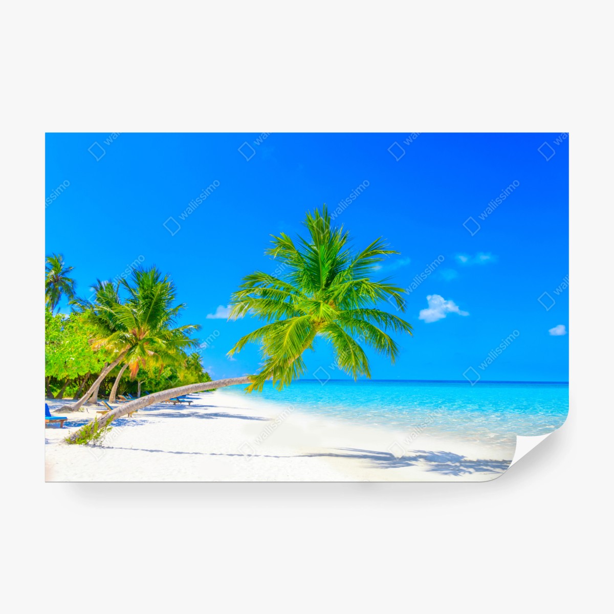 Fototapete traumhafte strandlandschaft auf den Malediven – Wallnifity®