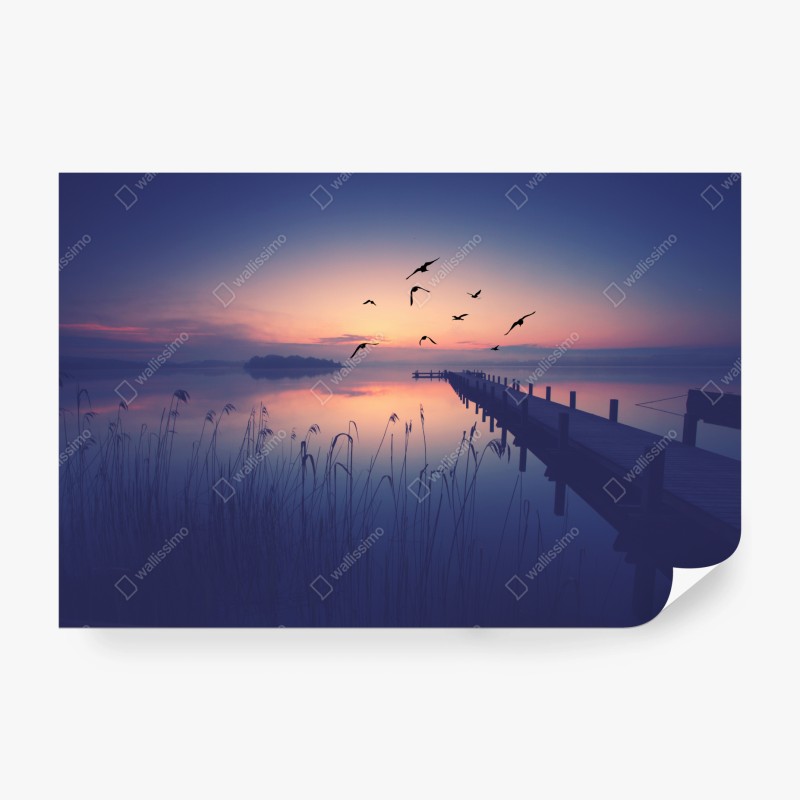 Fototapete aquarellmuster mit vogelbeeren – Wallnifity®