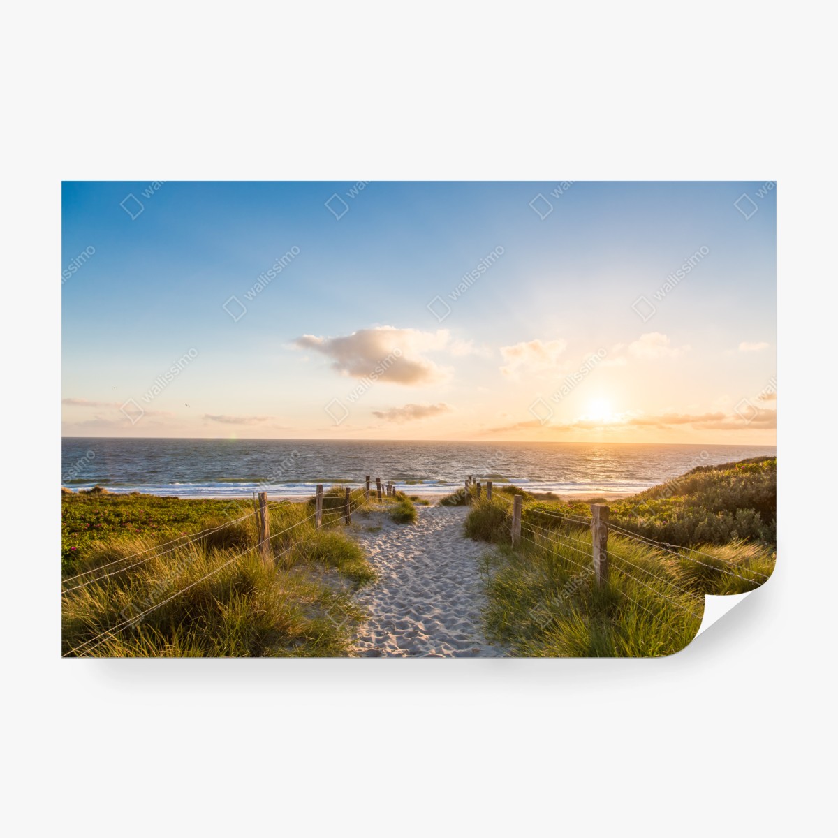 Fototapete sonnenbeschienener strandweg zum meer – Wallnifity®