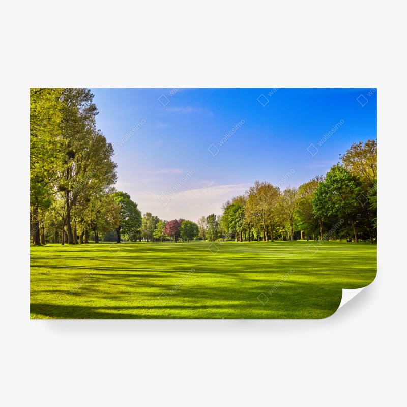 Fototapete goldener herbstwaldweg – Wallnifity®