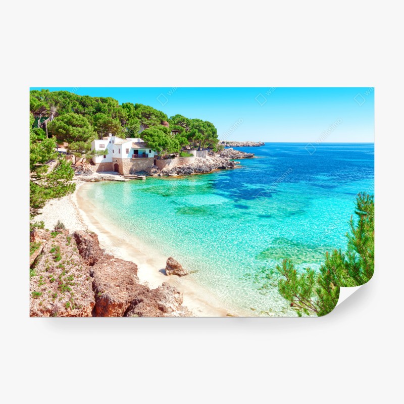 Fototapete türkisblaue wellen am strand Kelingking, Nusa Penida – Wallnifity®