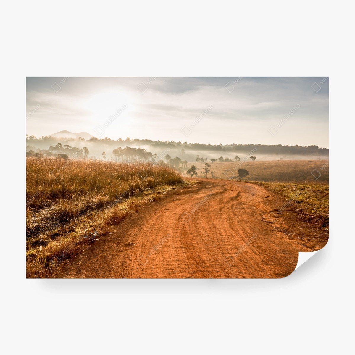 Fototapete morgendlicher feldweg in Thung Salaeng Luang – Wallnifity®