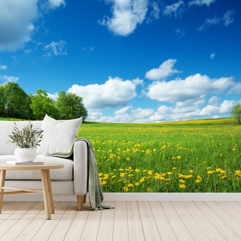 Fototapete sonnige wiese mit löwenzahn und blauem himmel – Wallnifity®