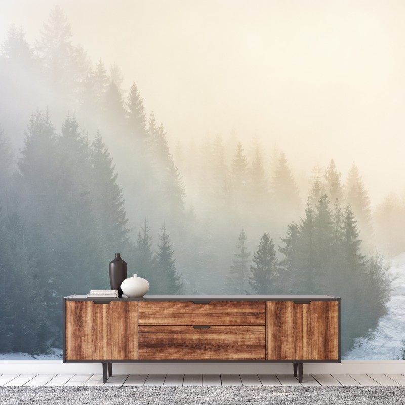 Fototapete nebliger fichtenwald bei sonnenaufgang – Wallnifity®