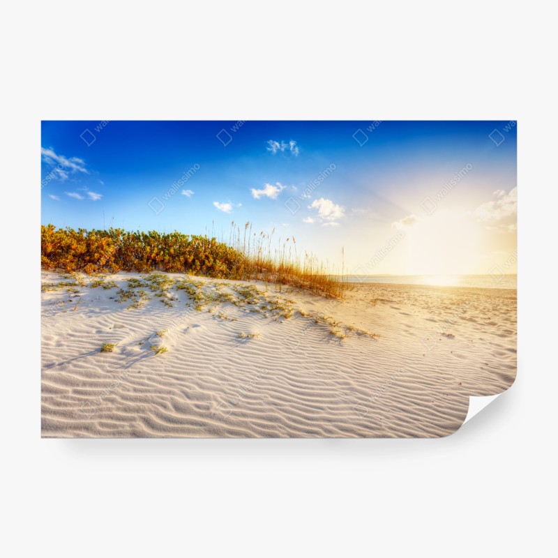 Fototapete luftbild einer felsigen küste – Wallnifity®