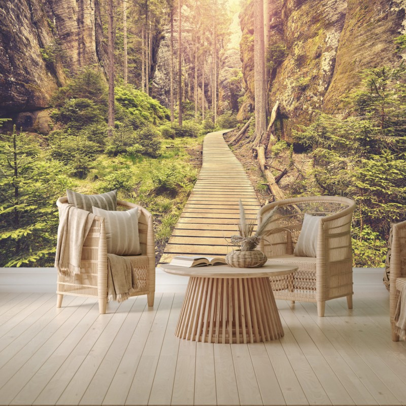 Fototapete sonniger holzsteg in Adrspach Teplice – Wallnifity®