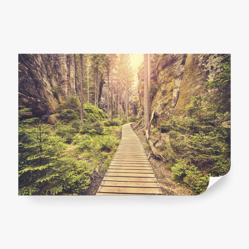 Fototapete tropisches muster mit bananenblättern – Wallnifity®