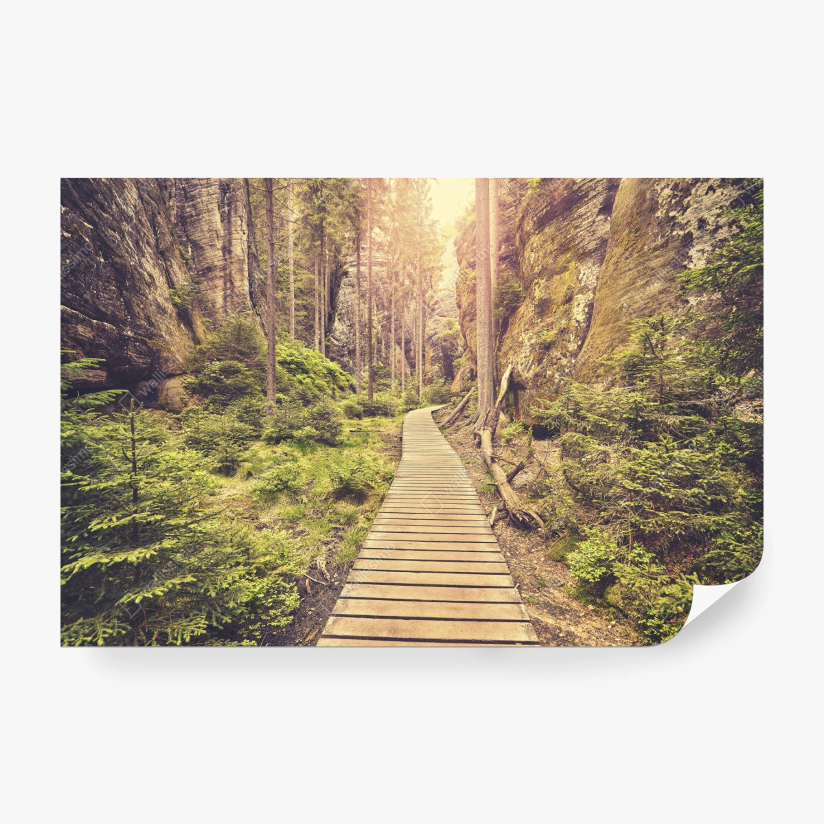 Fototapete sonniger holzsteg in Adrspach Teplice – Wallnifity®