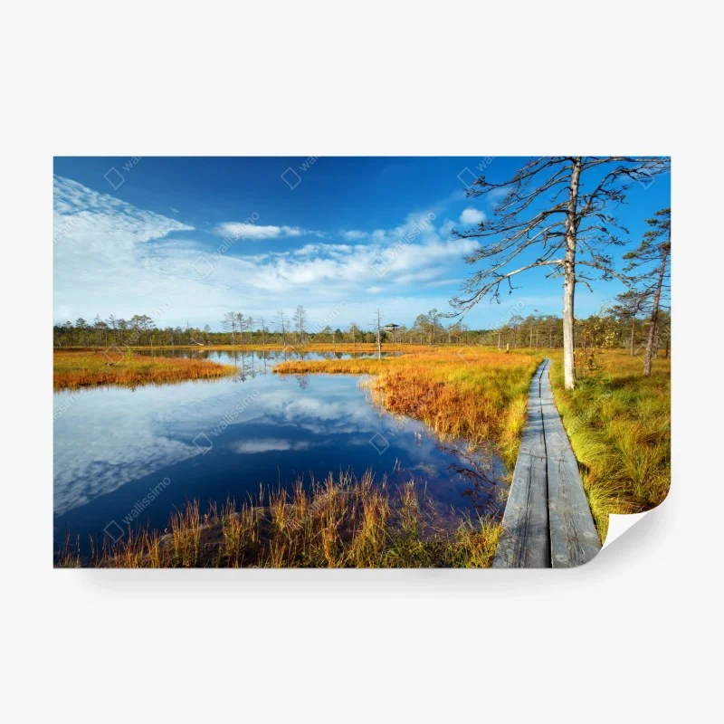 Fototapete herbststeg über ruhigem moor