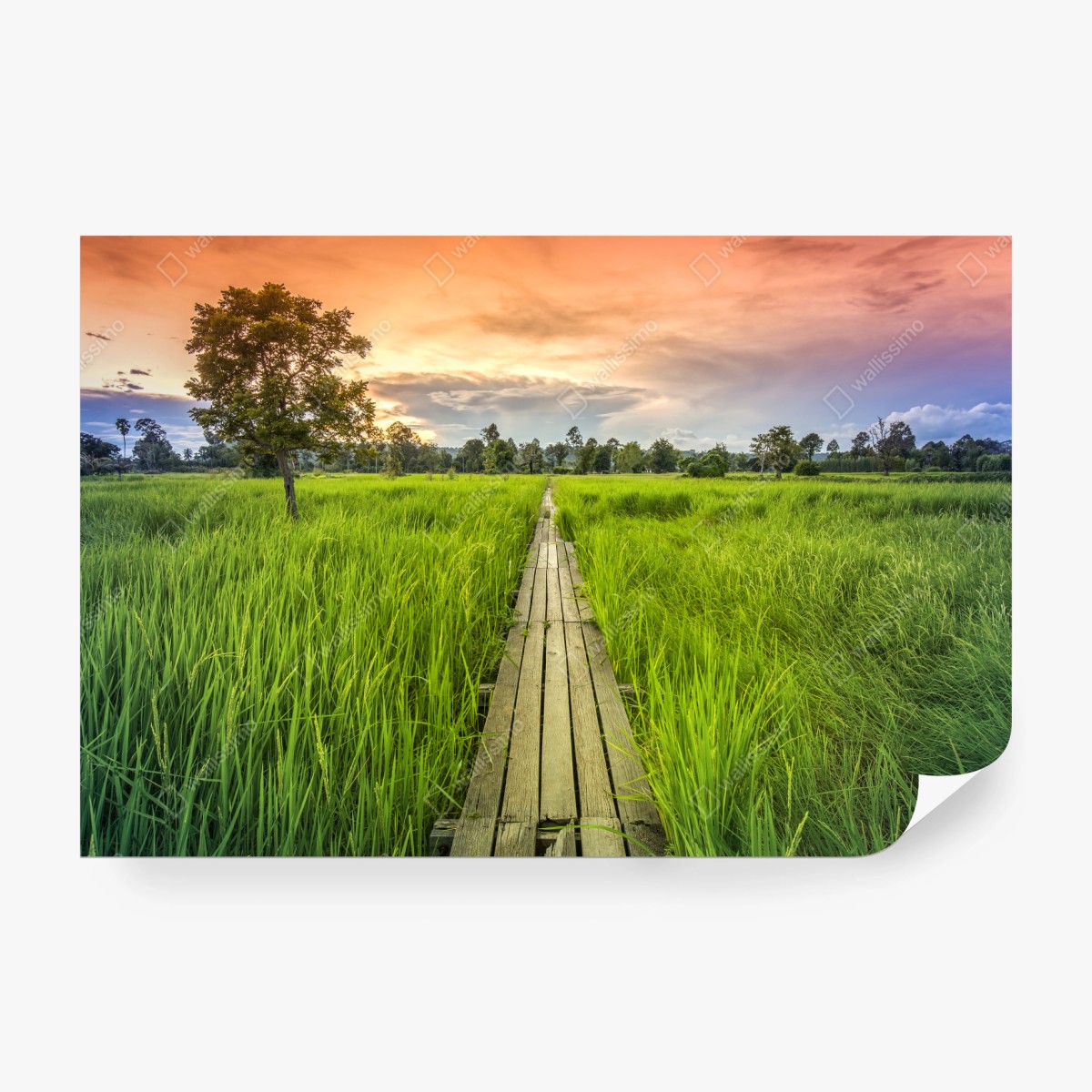 Fototapete sonnenuntergang über einer hölzernen brücke in Khonburi – Wallnifity®