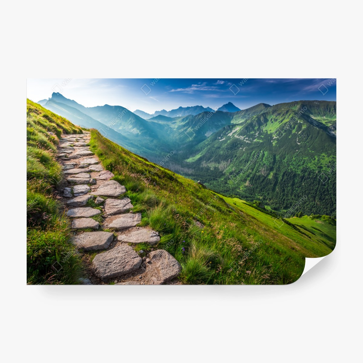 Fototapete wanderpfad in der Tatra bei sonnenaufgang – Wallnifity®