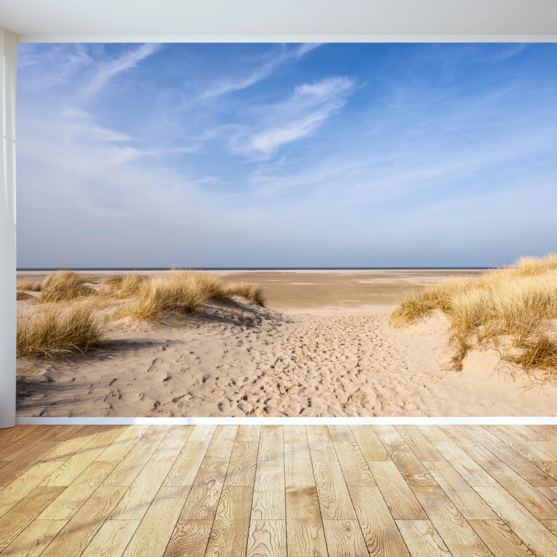 Fototapete ruhige dünen an der deutschen küste – Wallnifity®