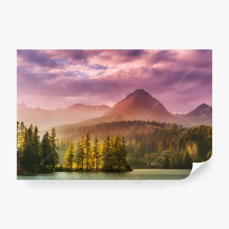 Fototapete – Wallnifity®