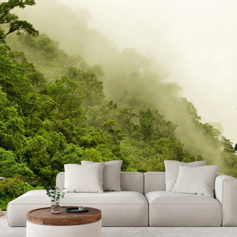 Fototapete nebeliger regenwald bei Cairns – Wallnifity®