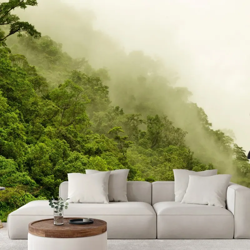 Fototapete nebeliger regenwald bei Cairns – Wallnifity®