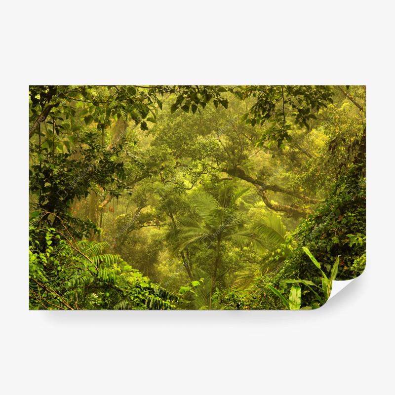 Fototapete elegantes graues damastmuster – Wallnifity®