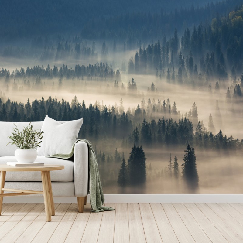 Fototapete nebliger nadelwald im morgengrauen – Wallnifity®