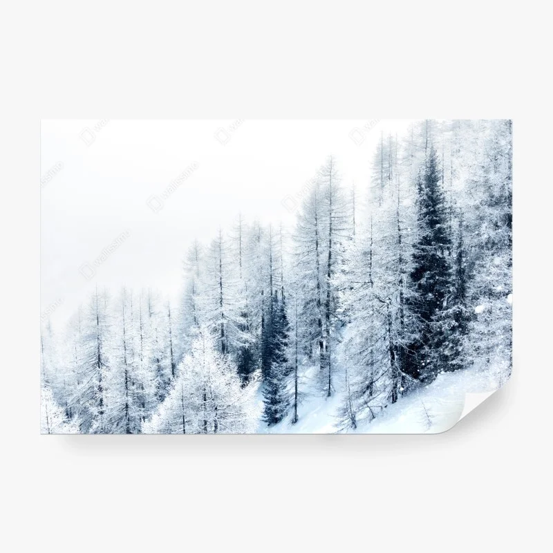 Fototapete – Wallnifity®