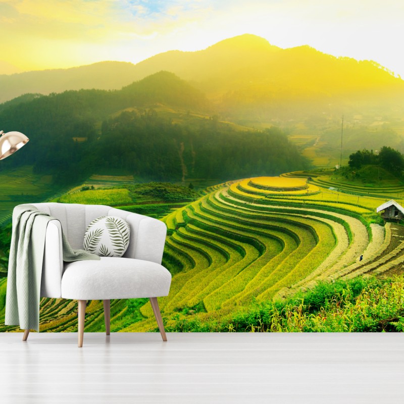 Fototapete goldene reisterrassen im morgenlicht – Wallnifity®