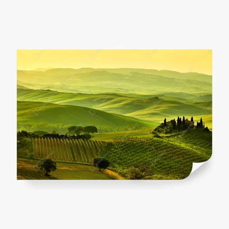 Fototapete – Wallnifity®