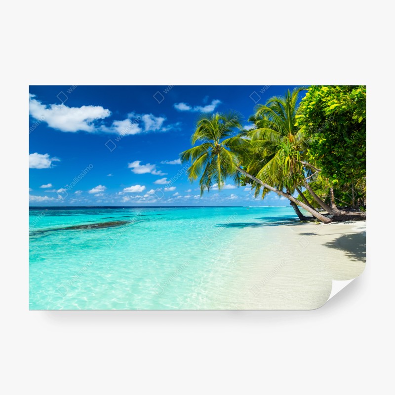 Fototapete sonniger steg am see – Wallnifity®