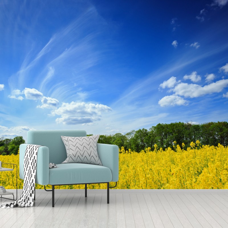 Fototapete polnisches rapsfeld unter blauem himmel – Wallnifity®