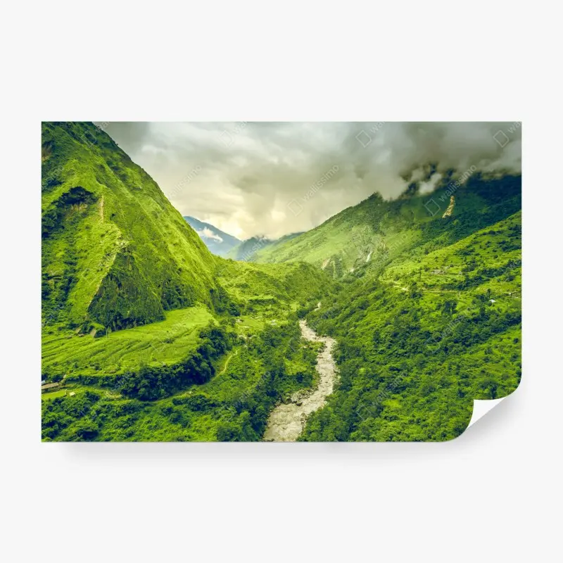 Fototapete – Wallnifity®