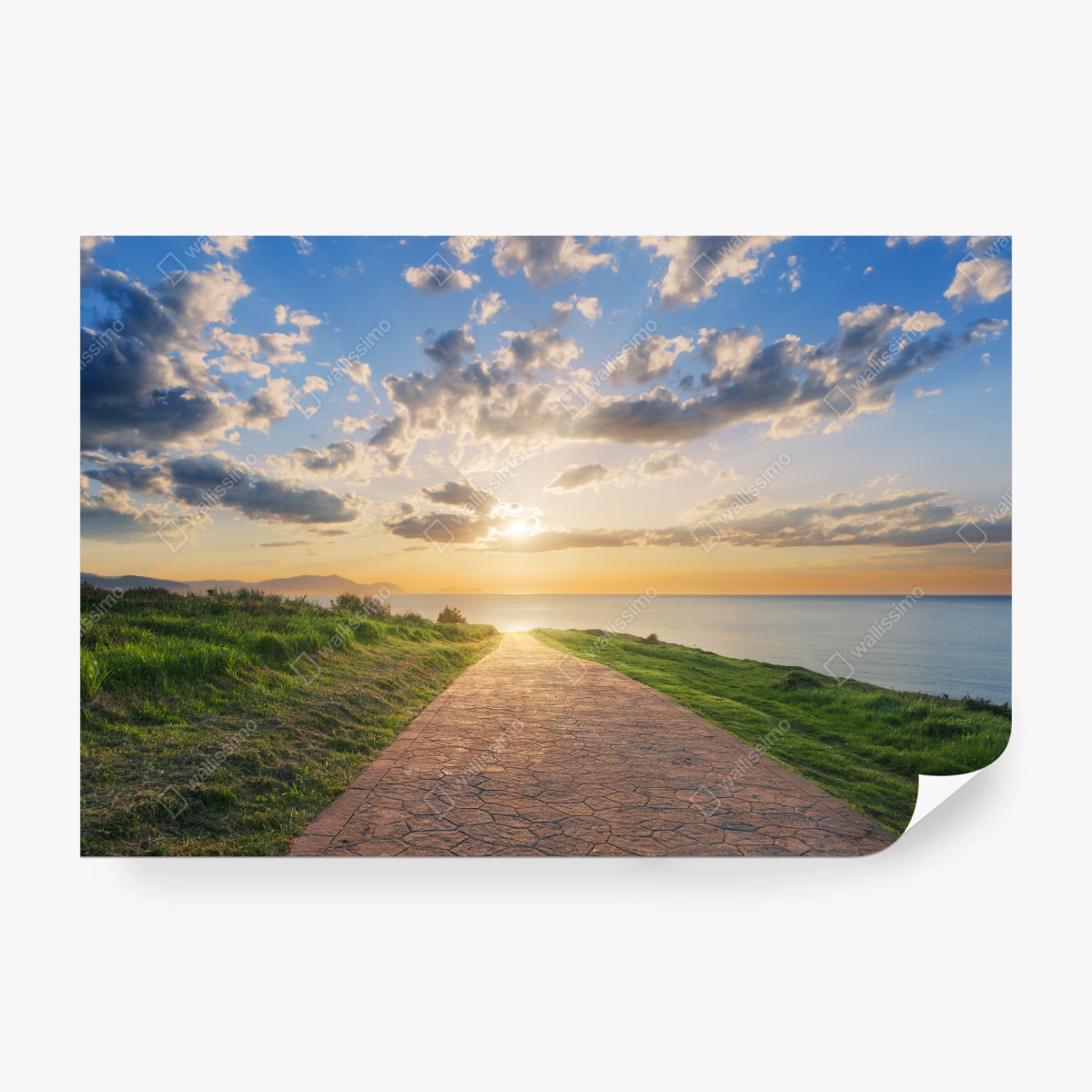 Fototapete weg zum meer bei sonnenaufgang – Wallnifity®