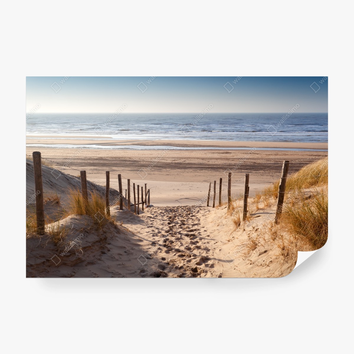 Fototapete sonniger weg zur Nordsee – Wallnifity®