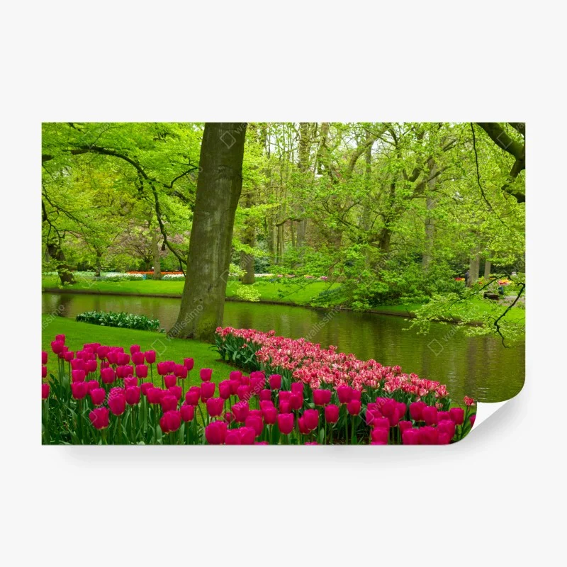 Fototapete frühlings-tulpengarten am kanal