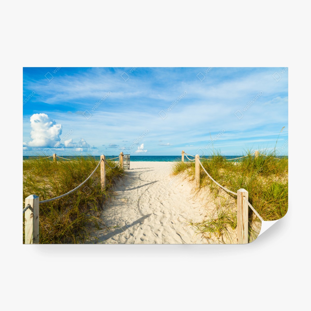 Fototapete weg zum strand in Miami – Wallnifity®