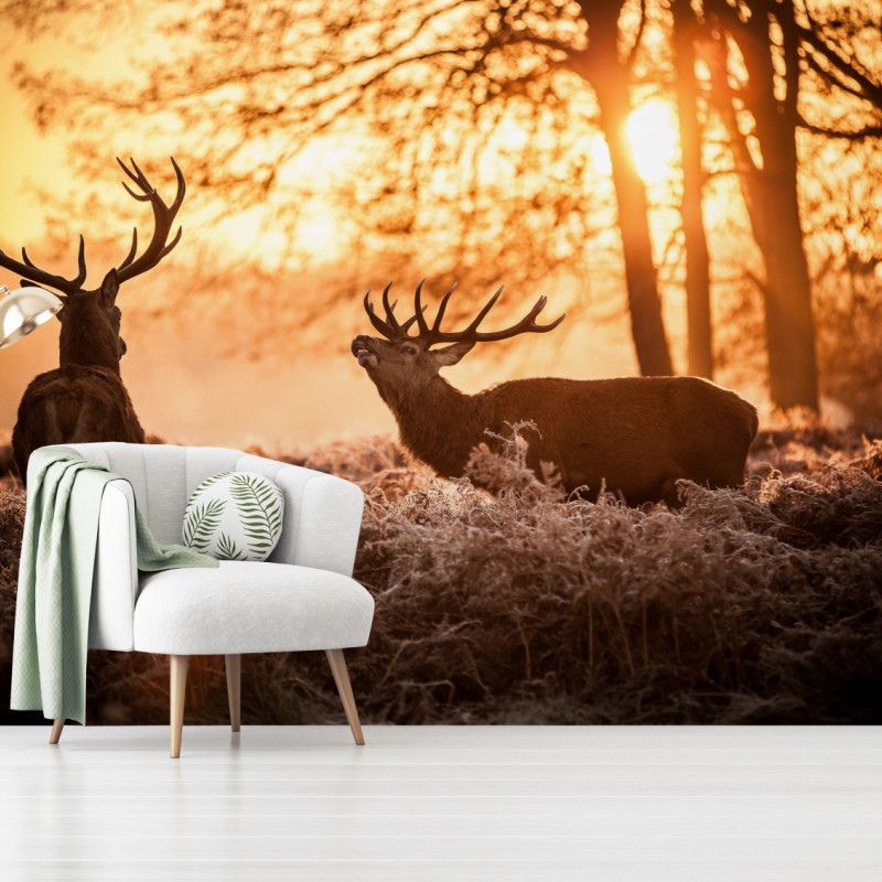 Fototapete goldener sonnenaufgang mit hirschen auf frostiger wiese – Wallnifity®