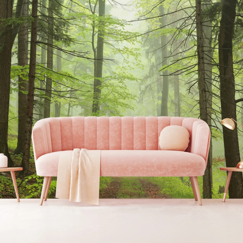 Fototapete nebliger grüner waldpfad – Wallnifity®