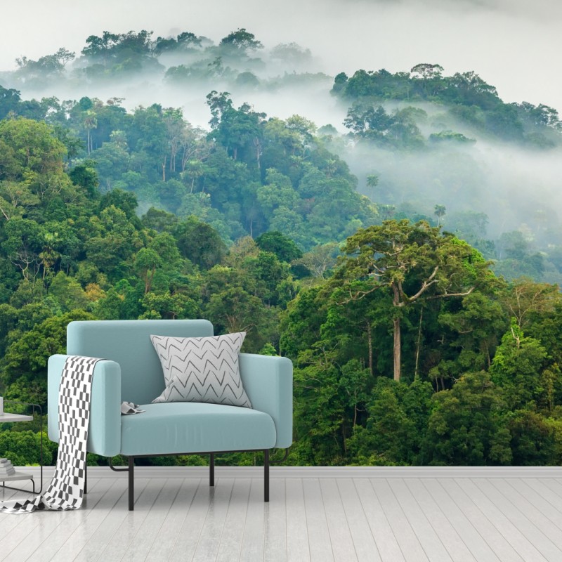 Fototapete morgendlicher nebel über dem wald von Kaeng Krachan – Wallnifity®