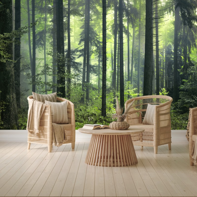 Fototapete mystischer grüner frühlingswald – Wallnifity®