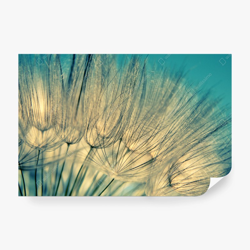 Fototapete eisiger türkissee mit bergreflexion – Wallnifity®