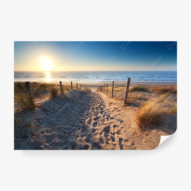 Fototapete goldener sonnenuntergang an einem strand in der Karibik – Wallnifity®
