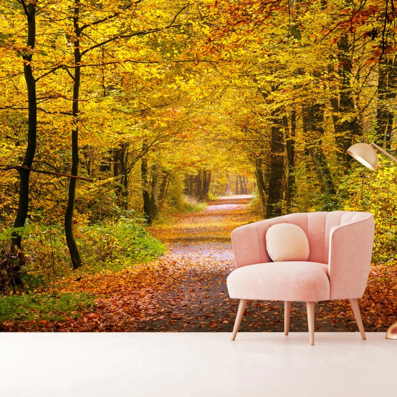 Fototapete goldener herbstwaldweg – Wallnifity®