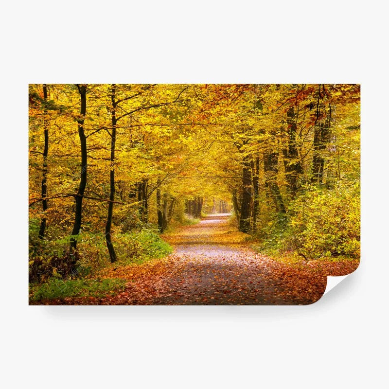Fototapete goldener herbstwaldweg – Wallnifity®