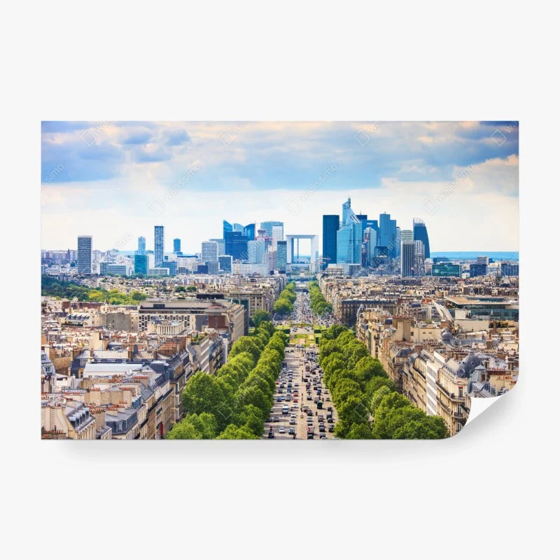 Fototapete Paris skyline über baumgesäumter avenue