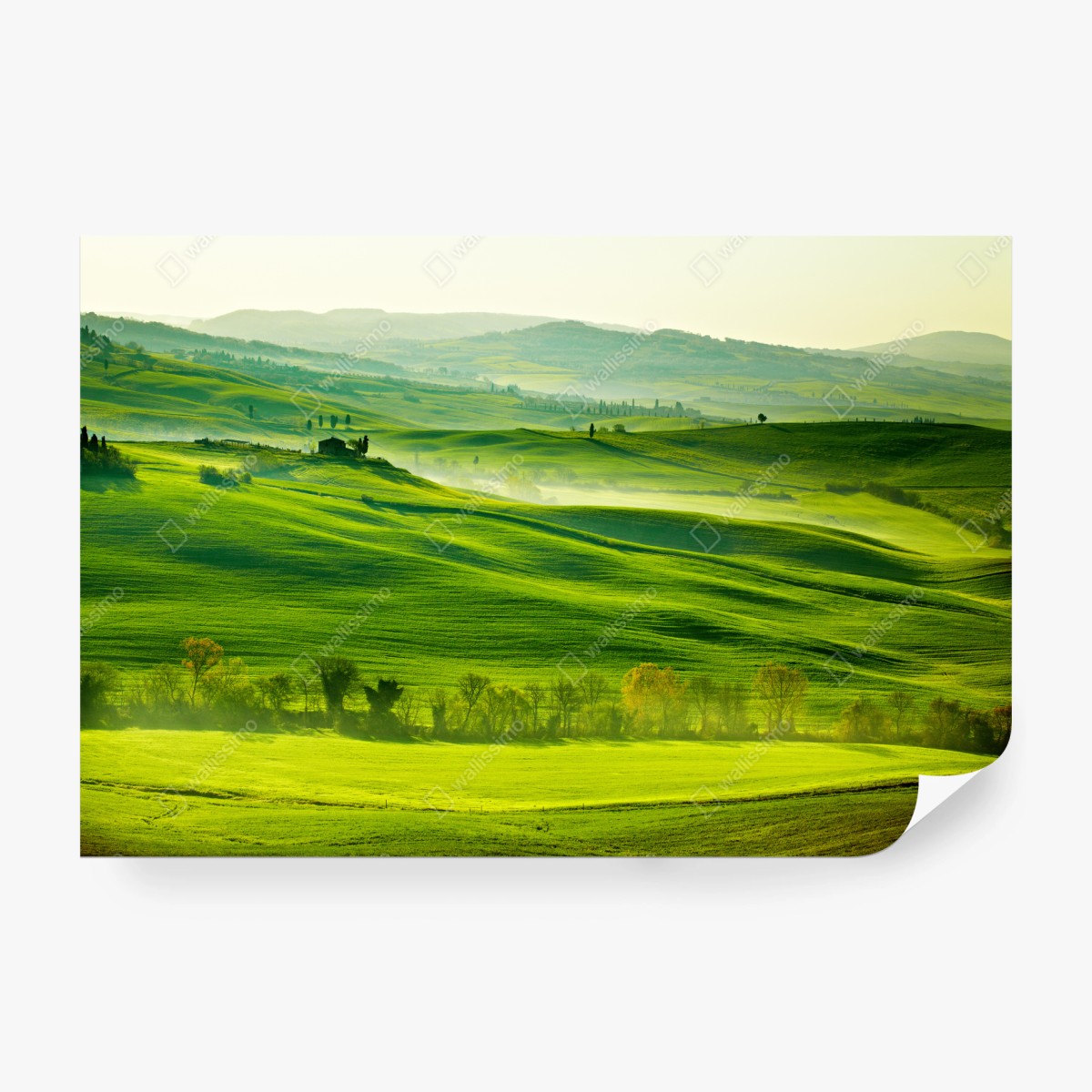 Fototapete sonnige sanft hügelnde landschaft der Toskana – Wallnifity®