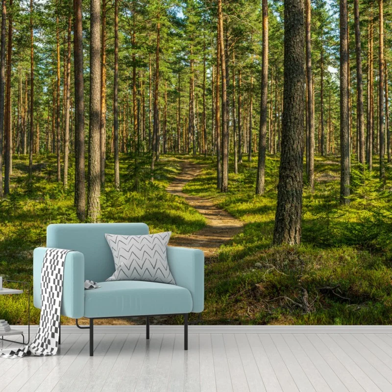 Fototapete sonniger kiefernwaldweg – Wallnifity® Fototapete sonniger kiefernwaldweg – Wallnifity®