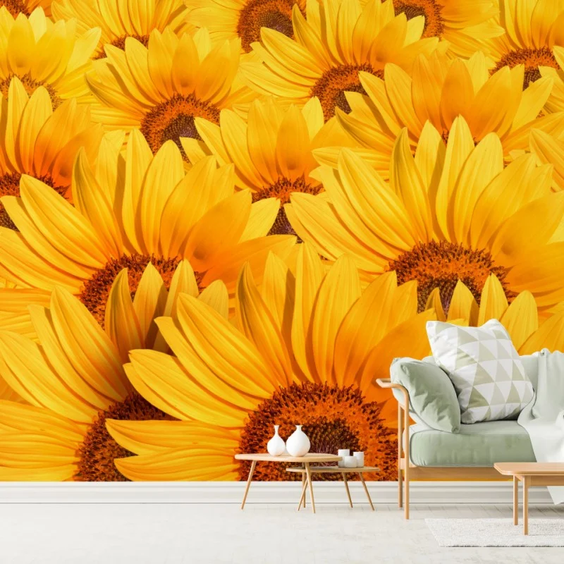 Fototapete goldenes sonnenblumenfeld