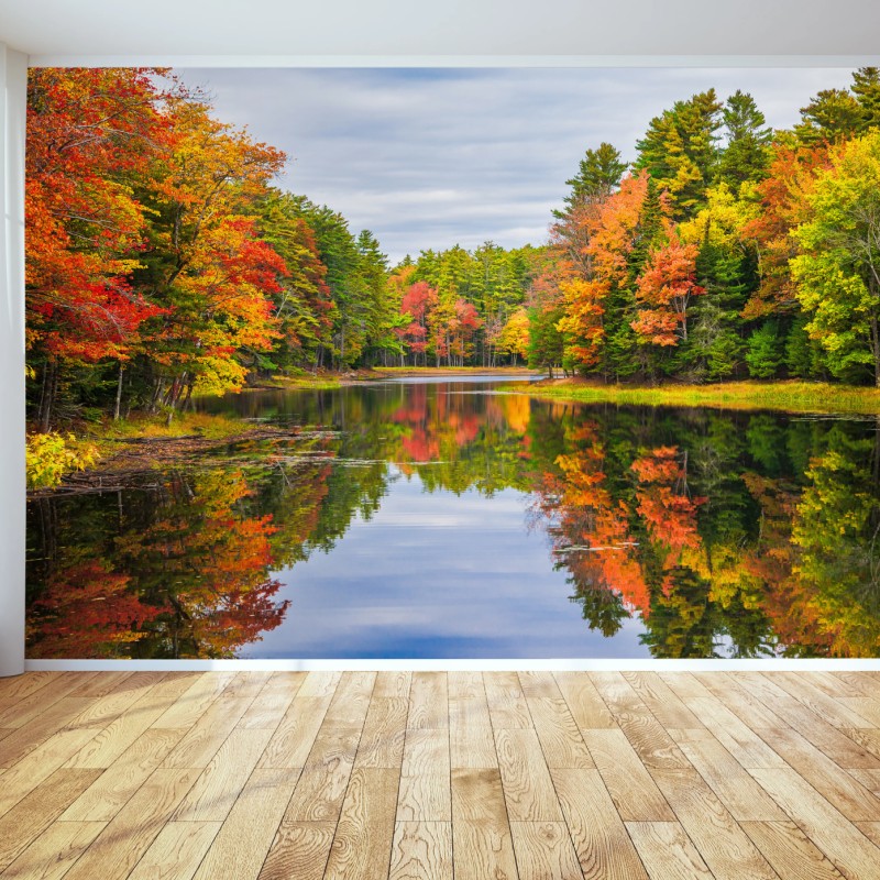 Fototapete herbstliche spiegelungen in Neuengland – Wallnifity®