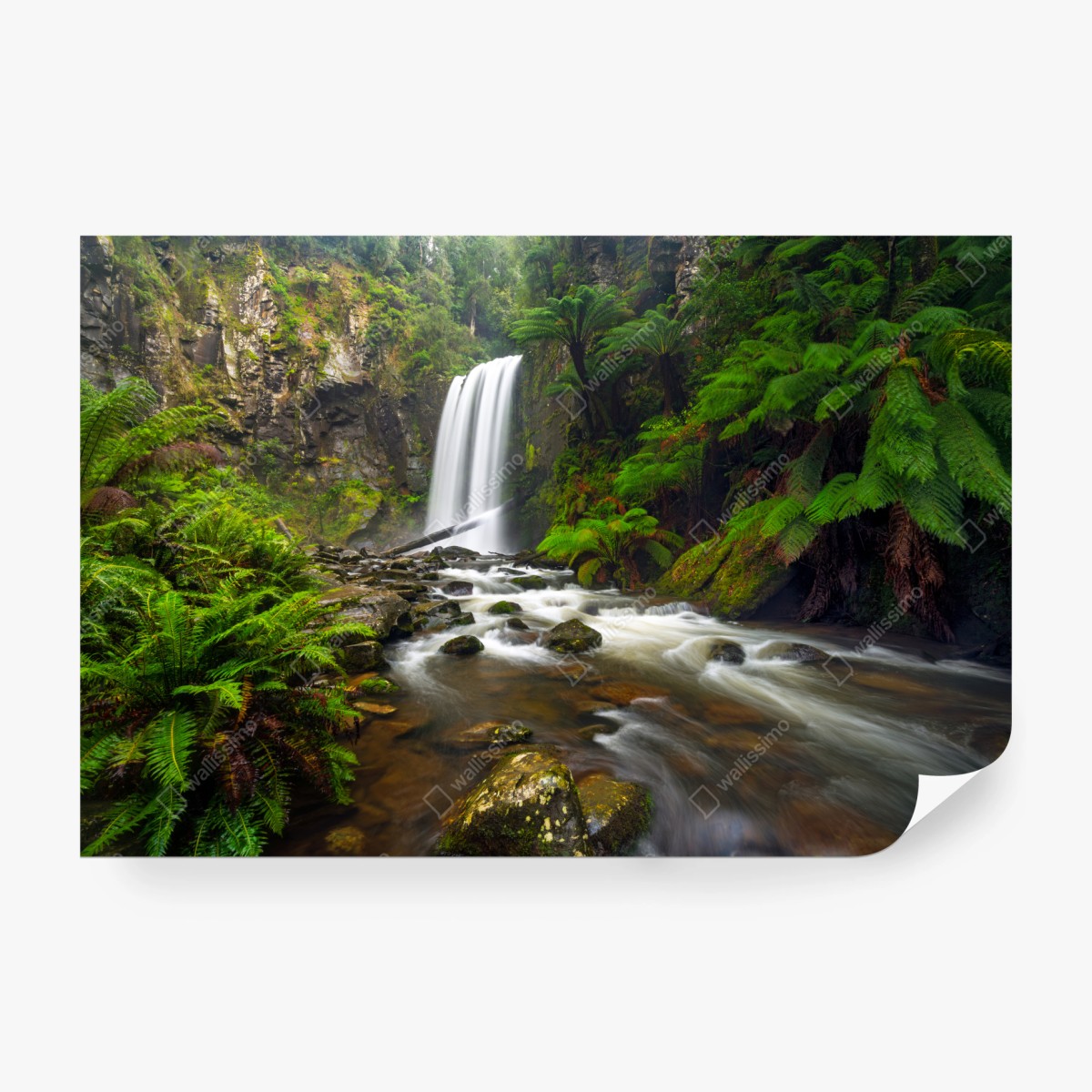 Fototapete üppiger wasserfall im farnwald – Wallnifity®