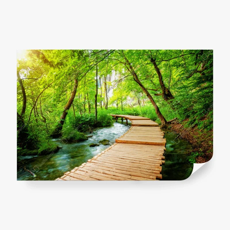 Fototapete holzsteg bei den Plitvicer Seen – Wallnifity®