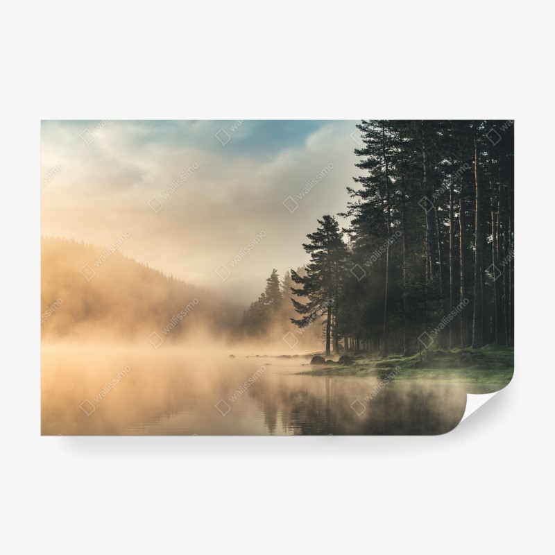 Fototapete panorama verschneiten waldes – Wallnifity®