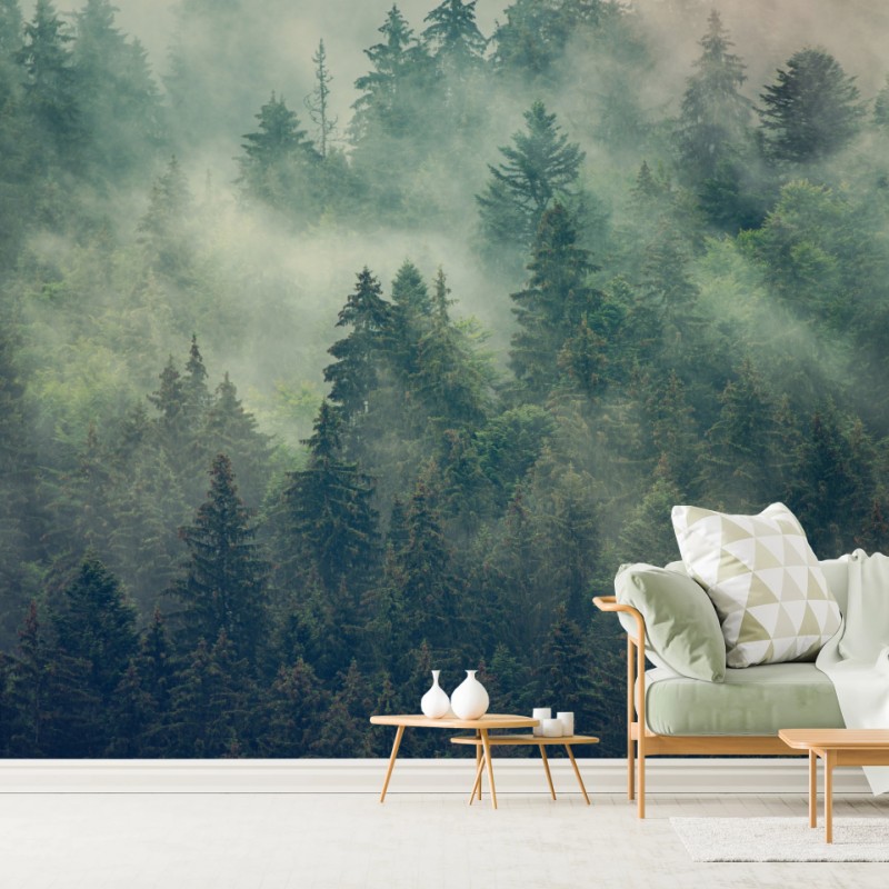 Fototapete nebliger immergrüner wald – Wallnifity®